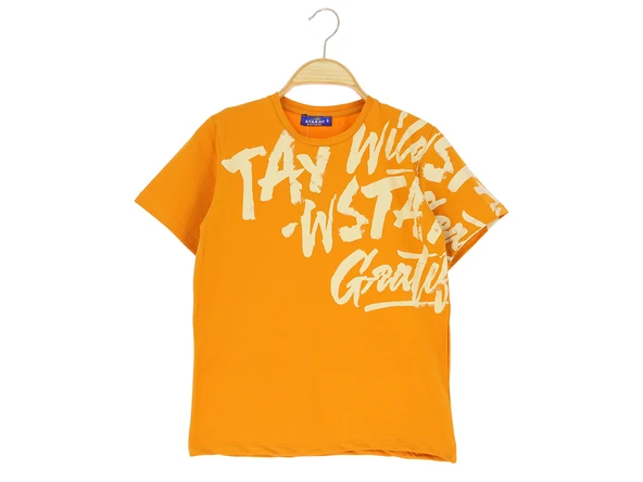 Erkek Çocuk T-Shirt Baskılı ürün görseli 1