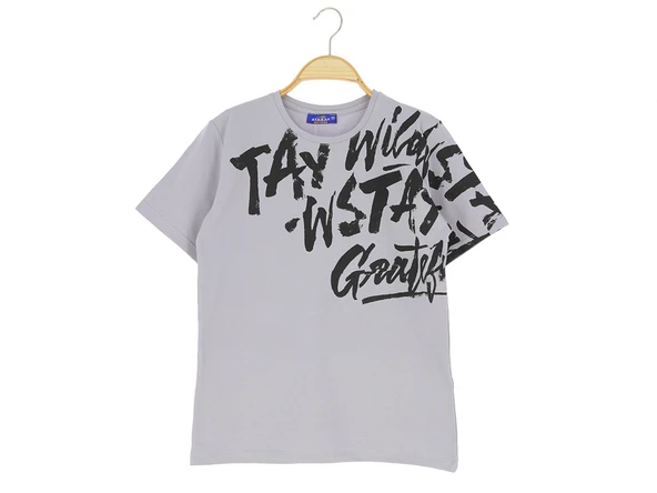 Erkek Çocuk T-Shirt Baskılı - Resim 2
