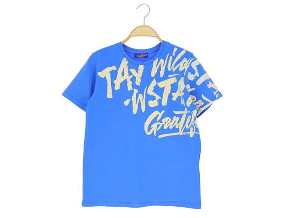 Erkek Çocuk T-Shirt Baskılı - Resim 3