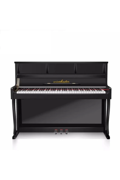 Wdp 4965 Dijital Akustik Piyano ürün görseli 1