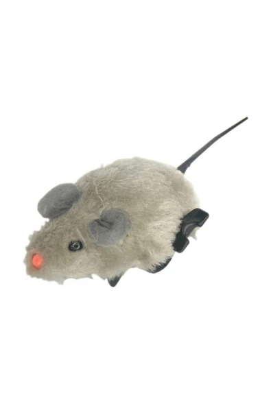 Toys  Kedi Oyuncağı ürün görseli 1