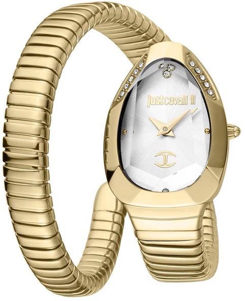 Just Cavalli JC1L208M0035 Kadın Kol Saati ürün görseli 1