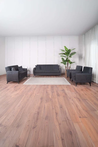 Kilim Mobilya Linda Koltuk Takımı 3 2 B B Antrasit ürün görseli 1