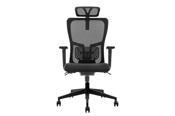 Decofis Lumbar Plus Fileli Yönetici Koltuğu ürün görseli 1