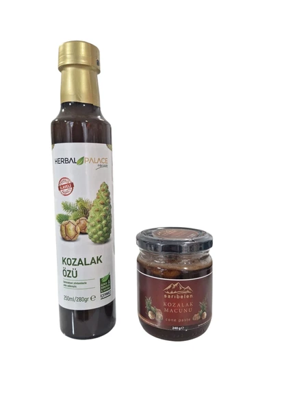 Çam kozalağı özü 280 gr & Kozalak macunu 240 gr avantajlı kozalak seti ürün görseli 1