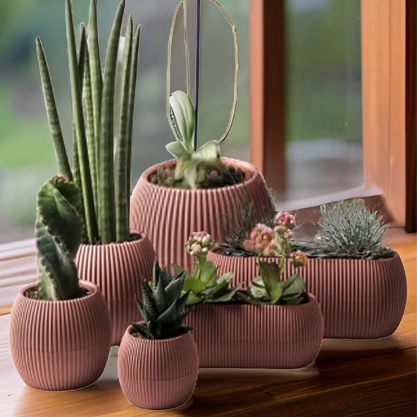 Omnipazar KRS Mercan Dekoratif Sukulent Kaktüs Plastik Saksı Takımı 6'lı Set Pembe ürün görseli 1