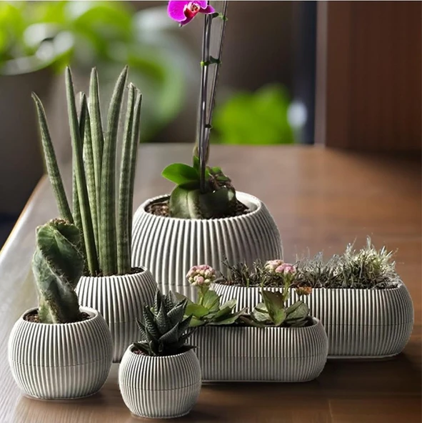 Omnipazar KRS Mercan Dekoratif Sukulent Kaktüs Plastik Saksı Takımı 6'lı Set Bej ürün görseli 1