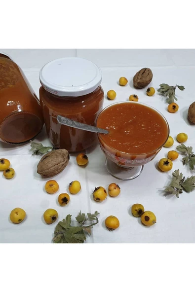 ORGANİK ALIÇ MARMELATI 1KG ürün görseli 1