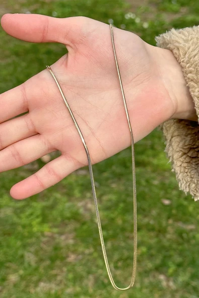 14 Ayar 2mm Balık Sırtı Altın Kolye ürün görseli 1