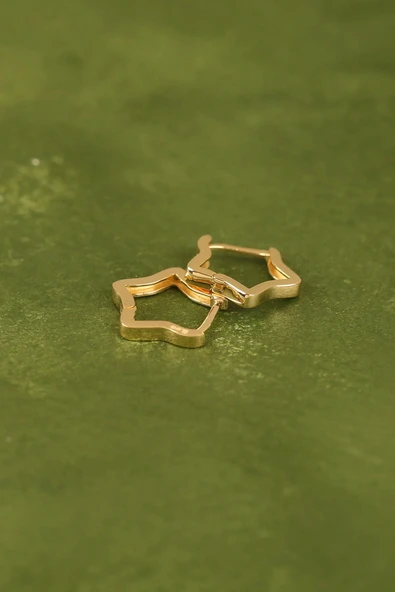 Yıldız Altın Küpe ürün görseli 1