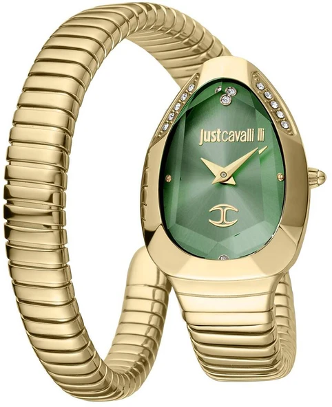 Just Cavalli JC1L208M0045 Kadın Kol Saati ürün görseli 1