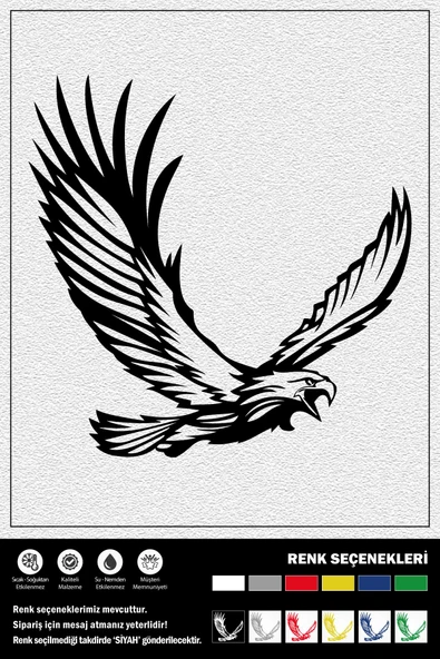 KARTAL STICKER 25 x 25 cm ürün görseli 1