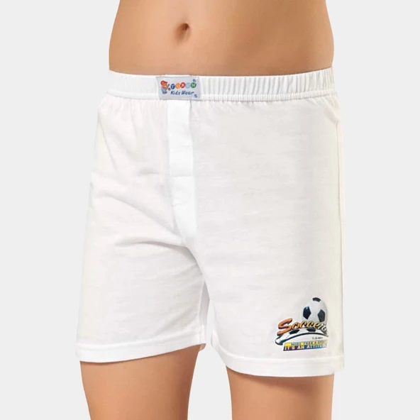 Çocuk Baskılı Boxer (2\li Paket) ürün görseli 1