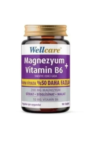 Wellcare Magnezyum B6 Vitamini 90 Tablet ürün görseli 1