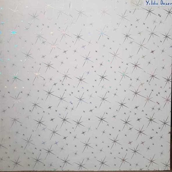 aym akasya yapı market 60X60 PVC ASMA TAVAN PANELİ 20 ADET (7,20 M2) ''ÜRÜNLERİMİZ SADECE PANEL SATIŞLIDIR.'' ürün görseli 1