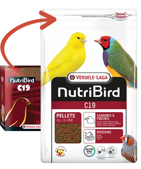 Versele Laga Nutrıbırd C19 Kanarya - Finch Pelet Yem 10kg ürün görseli 1