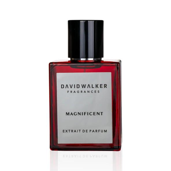 David Walker BOUTIQUE MAGNIFICENT 50ML Parfüm - Resim 2