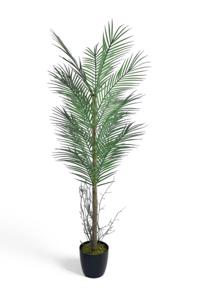 Nettenevime Yapay Ağaç Palmiye 135*50Cm 20Yaprak Areka Ağacı Siyah Saksıda Tek Gövdeli ürün görseli 1