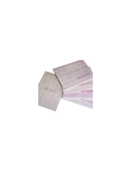 Dilman Para Makbuzu Otokopili 2 Nüshalı 9.3 x 13.3 cm - 2 x 50 Yaprak ürün görseli 1