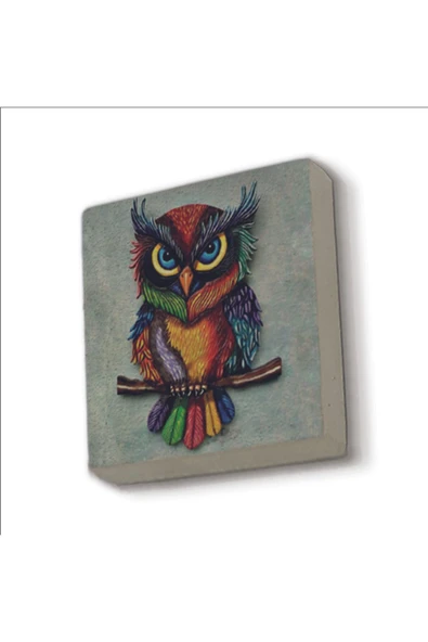 Baykuş Baskılı Taş Magnet 5X5 ürün görseli 1