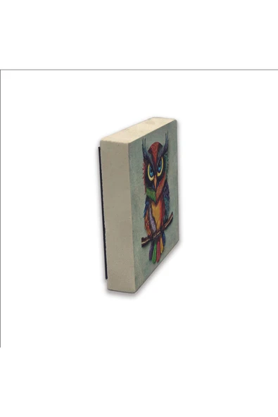 Baykuş Baskılı Taş Magnet 5X5 - Resim 4