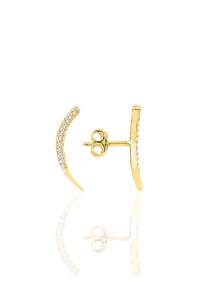 Gümüş altın yaldızlı zirkon taşlı ay modeli küpe SGTL9936GOLD ürün görseli 1