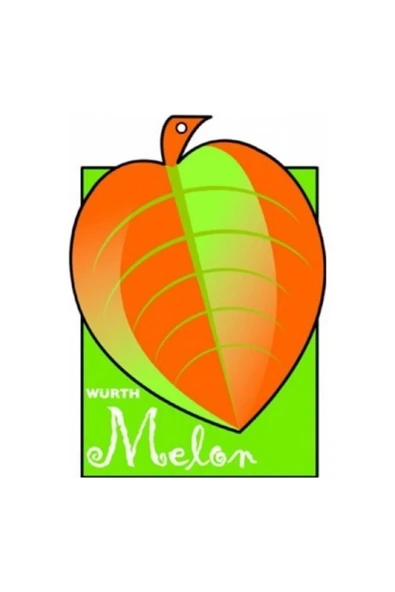 Würth Asma Koku Melon/taze Kavun ürün görseli 1