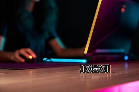 2TB KINGSTON RENEGADE SRNGD/2000G 7300/7000MB/S PCIe 4.0 NVMe SSD ürün görseli 1