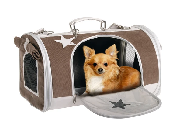 Karlıe Kediler Ve Köpekler İçin Taşıma Çantası Siyah (43x21x29) ürün görseli 1