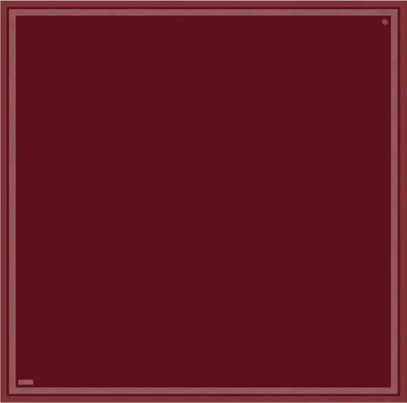 Saf İpek Eşarp 4129D02( Twill İpek) -0455 - Resim 4