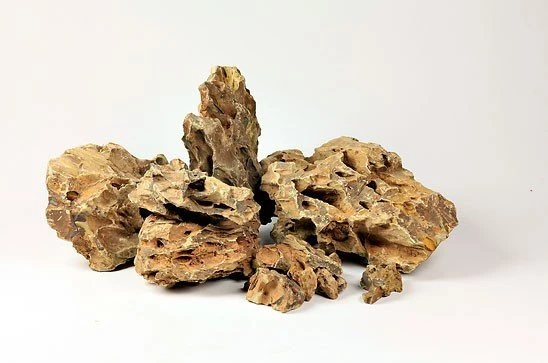 Dragon Stone Tasarım Kayası 2,5 Kg ürün görseli 1