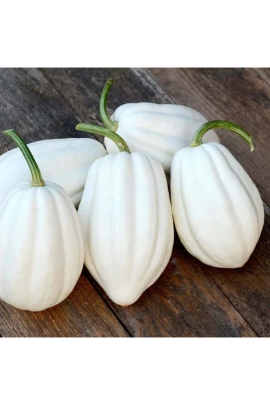 ZENGARDEN EV VE BAHÇE Patates püresi kışlık kabak tohumu mashed patato ürün görseli 1