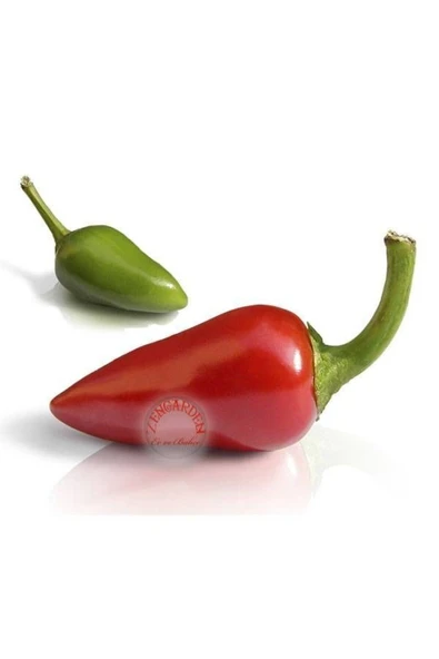 ZENGARDEN EV VE BAHÇE Mini kırmızı acı biber tohumu mini red hot chili pepper seeds ürün görseli 1