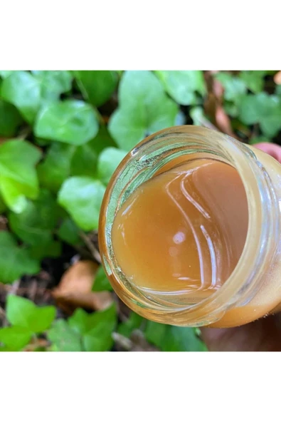 GÜLEN MARKET Sığla Yağı 40 Mm Sığla Yağı Saf Sığla Yağı ürün görseli 1