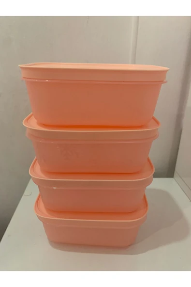 Tupperware Alaska 450 ml 4 lü Derin Dondurucu ve Buzdolabı Saklama Kabı ürün görseli 1