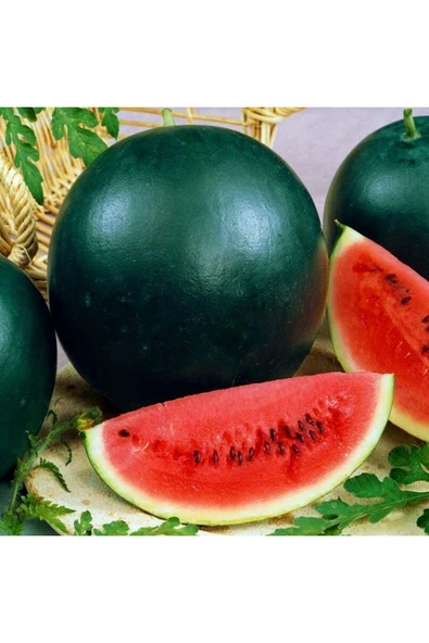 ZENGARDEN EV VE BAHÇE Sugar baby karpuz tohumu citrullus lanatus var ürün görseli 1