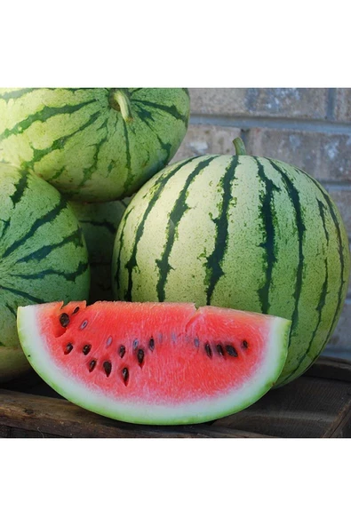 ZENGARDEN EV VE BAHÇE Erkenci karpuz tohumu geleneksel watermelon dixie queen ürün görseli 1
