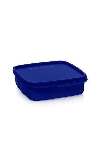 Tupperware Bölmeli Yemek Taşıma Kabı 550 ml Gece Mavisi ürün görseli 1