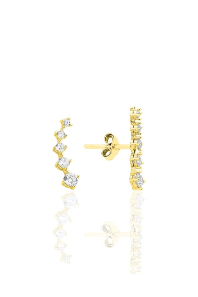 Gümüş altın yaldızlı zirkon taşlı beş taşlı vidalı küpe SGTL12552GOLD ürün görseli 1