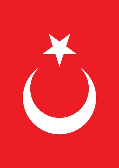 Laminasyonlu Türk Bayrak Seti (4 Poster) - Resim 3