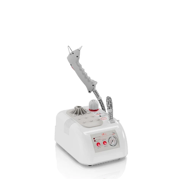 "GOLDENTAL" BUHARLI TEMİZLEME ROBOTU 1 LT - PLASTİK GÖVDE ürün görseli 1