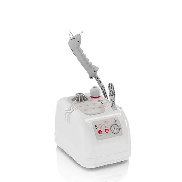 "GOLDENTAL" BUHARLI TEMİZLEME ROBOTU 2 LT - PLASTİK GÖVDE ürün görseli 1