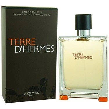 Hermes Terree D' Edt 100 ml Erkek Parfümü 3346131400003 ürün görseli 1