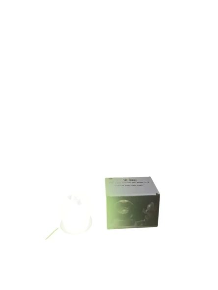 Ahşap altlıklı ışıklı küre - Resim 9