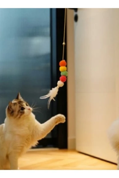 Kedi Oyun Oltası -Elastik Yapışkanlı - Resim 2