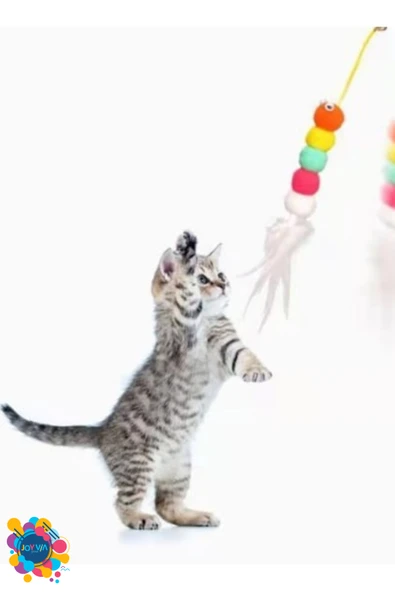 Kedi Oyun Oltası -Elastik Yapışkanlı - Resim 3