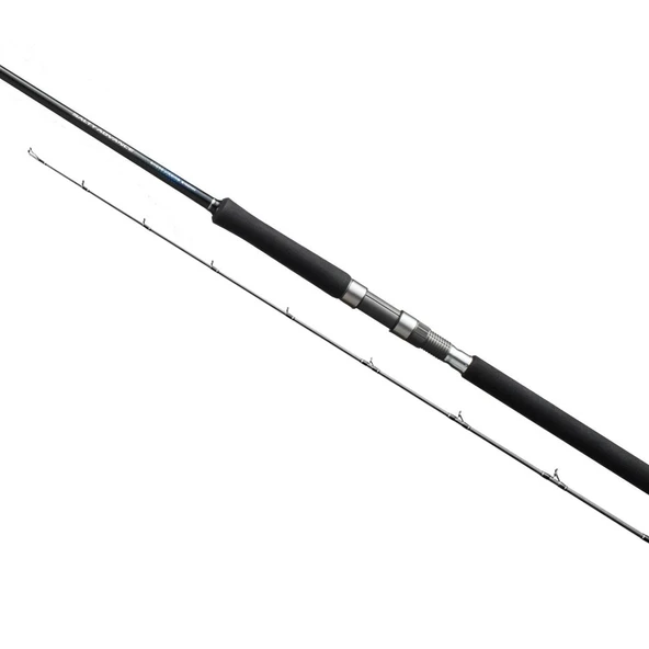 Shimano Salty Advance Spinning 2,90m 9'6" 60g ürün görseli 1