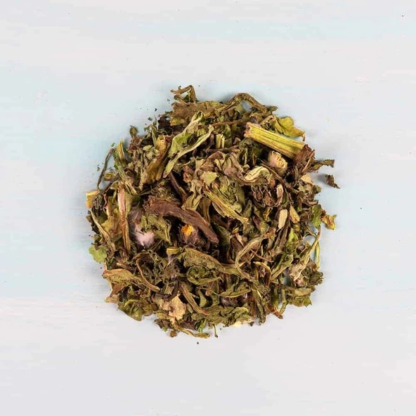 Karahindiba / 50 gr. - Resim 4
