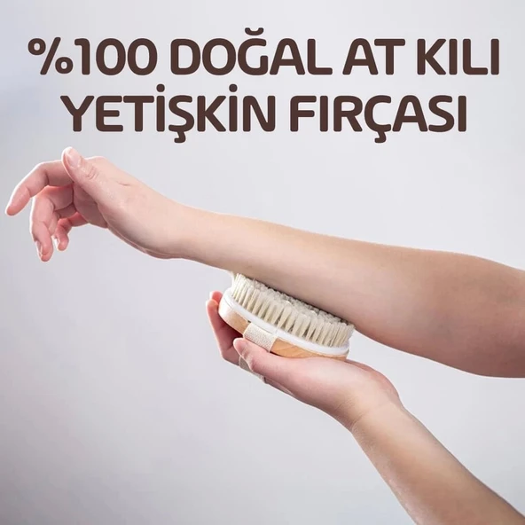 Doğal At Kılı Fırçası - Resim 4