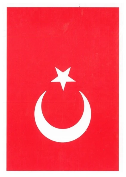 Atatürk Bayrak Çıkartma 13X18 10Lu ürün görseli 1